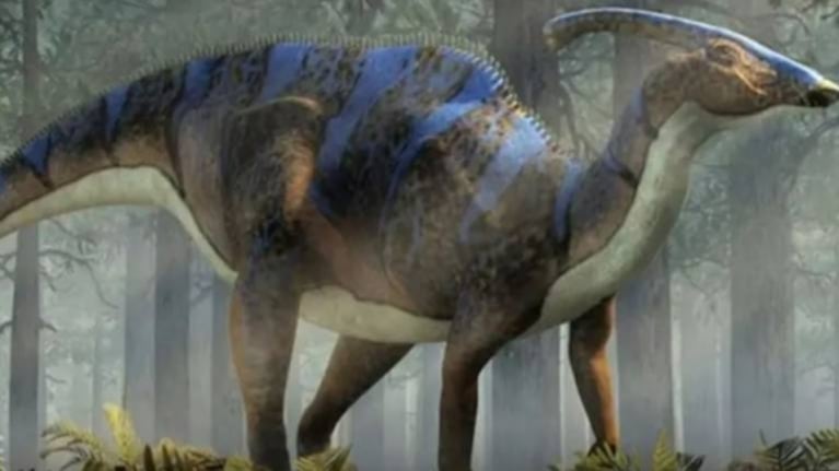Niño sale de paseo con su papá y descubre esqueleto de dinosaurio de 69 millones de años