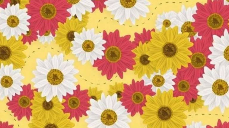 Nuevo reto visual: ¿puedes encontrar la abeja en la ilustración?