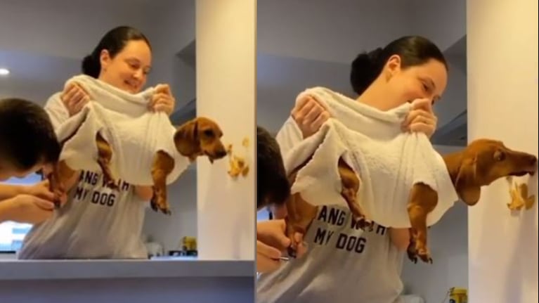 Nuevo truco para que tu perro se deje cortar las uñas