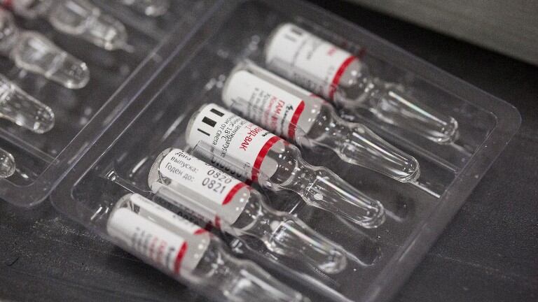 OMS pide prudencia tras anuncio de vacuna rusa contra el coronavirus. Foto: Bloomberg.