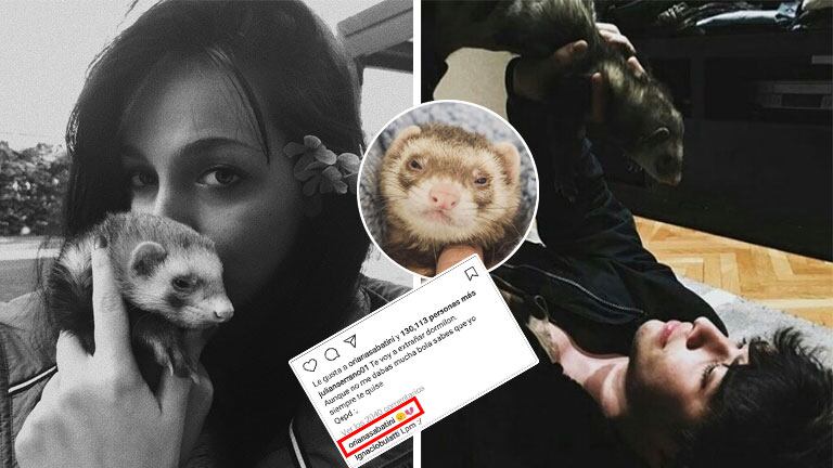 Oriana Sabatini y Julián Serrano se despidieron de Coco, el hurón que tuvieron como mascota. (Foto: Instagram)