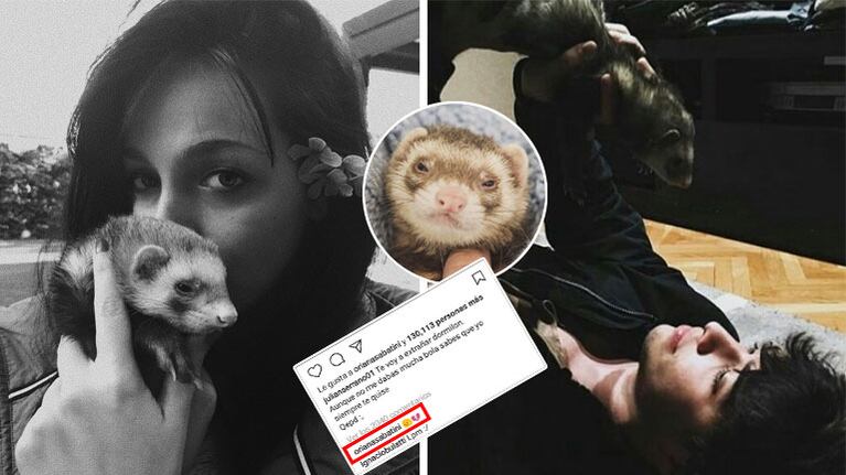 Oriana Sabatini y Julián Serrano se despidieron de Coco, el hurón que tuvieron como mascota. (Foto: Instagram)