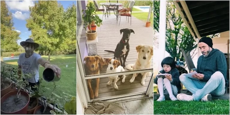 Pablo Granados en la huerta, sus perros rescatados en la galería y un momento junto a su hija en el jardín.
Fuente: Instagram