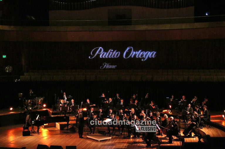 Palito Ortega en su homenaje (Foto: Movilpress).