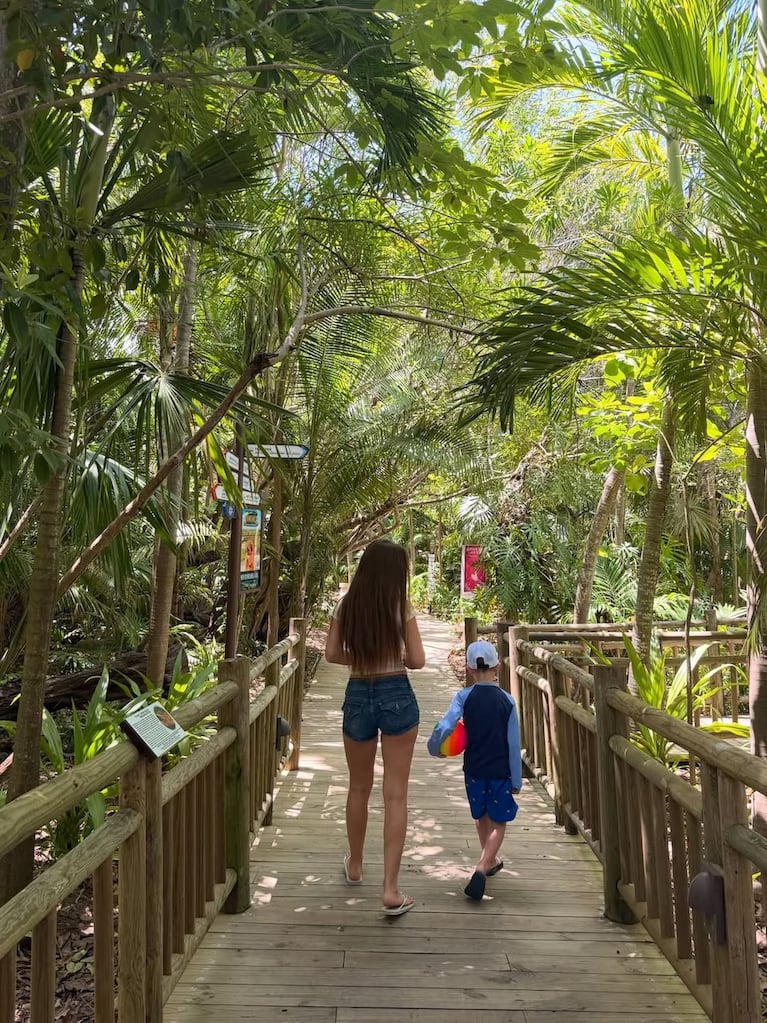 Palmeras, senderos de madera entre vegetación exuberante y shopping de lujo
