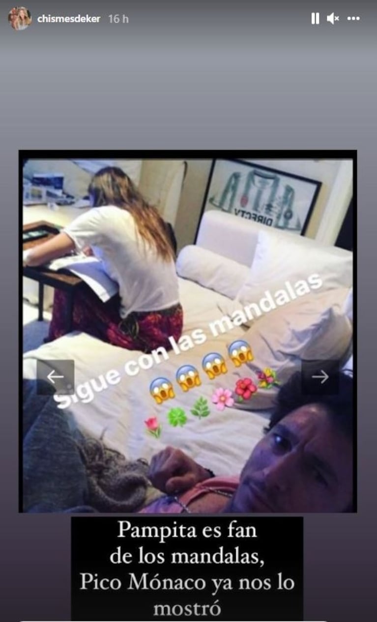 Pampita, Benjamín Vicuña y una llamativa coincidencia: comparten el hobby de pintar mandalas