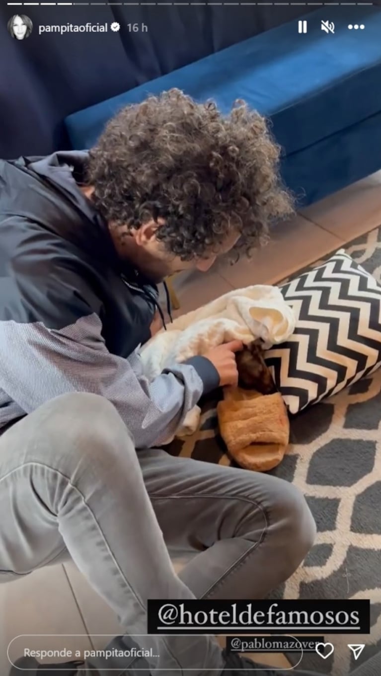 Pampita encontró una perrita en las grabaciones de El Hotel de los Famosos 2 y la puso en adopción