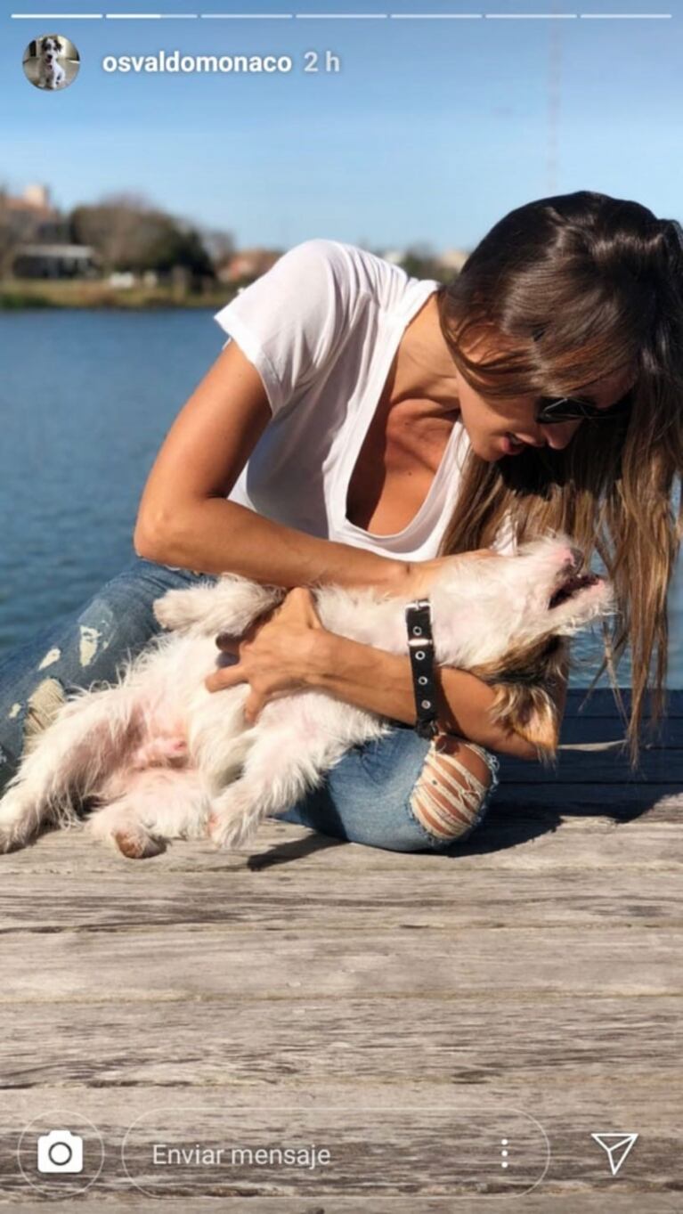 Pampita posó súper tierna con Osvaldo, el perrito de Pico Mónaco: ¿dónde estaba el extenista en ese momento?