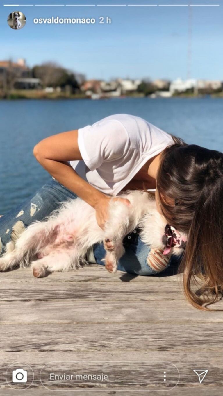 Pampita posó súper tierna con Osvaldo, el perrito de Pico Mónaco: ¿dónde estaba el extenista en ese momento?