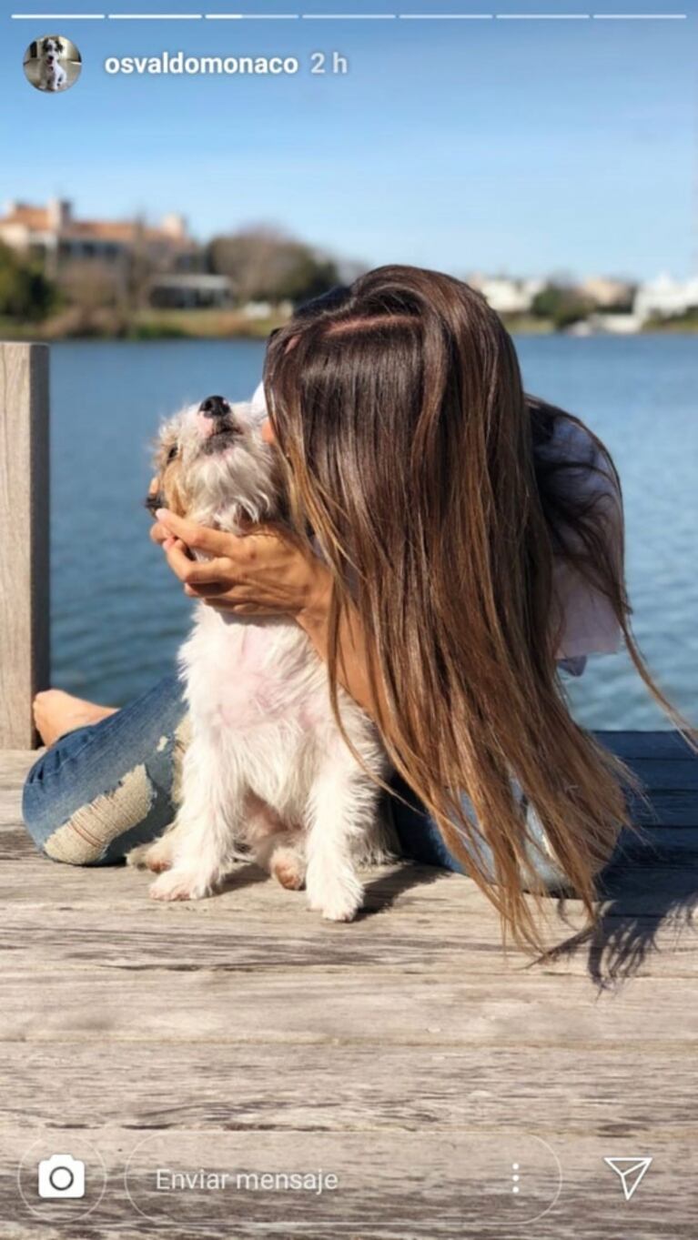 Pampita posó súper tierna con Osvaldo, el perrito de Pico Mónaco: ¿dónde estaba el extenista en ese momento?