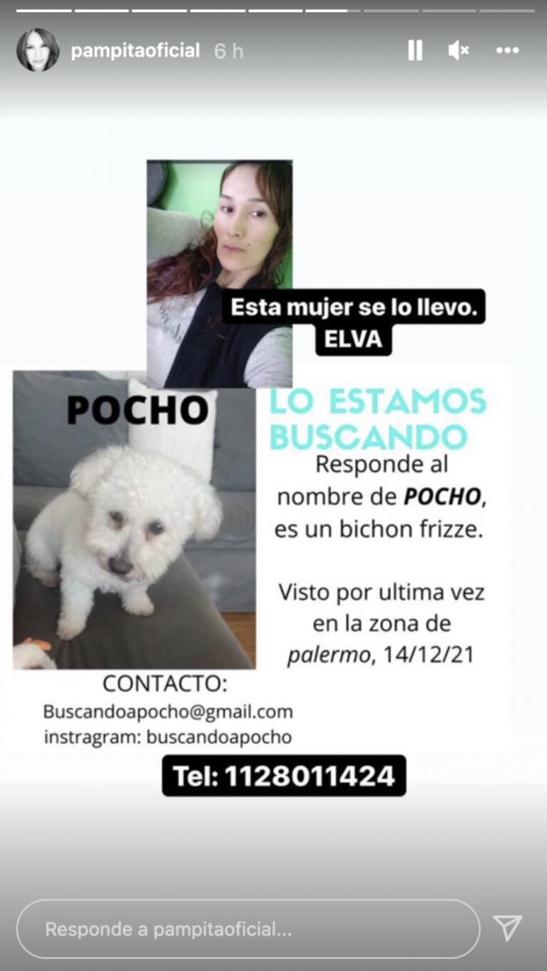 Pampita se sumó al pedido solidario de China Suárez y Benjamín Vicuña
