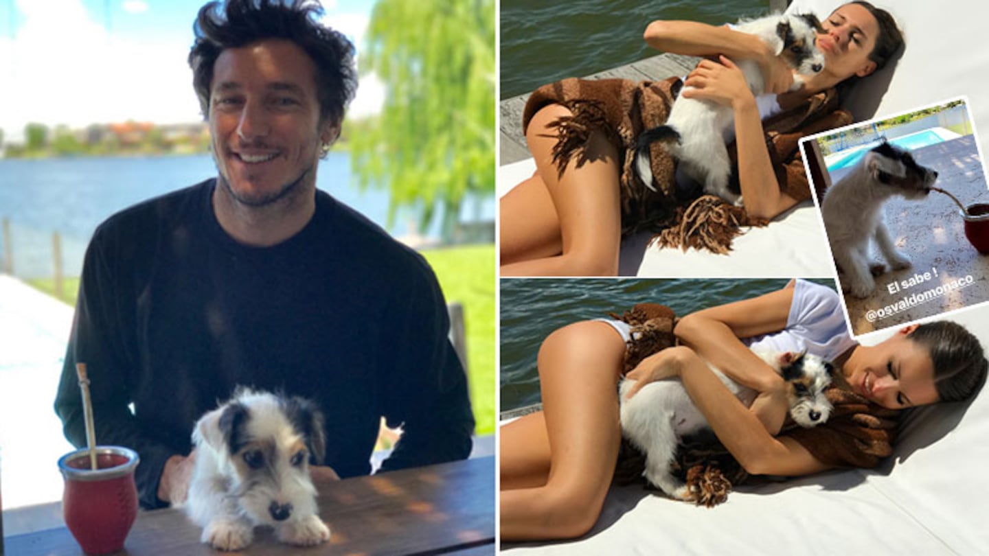 Pampita y Pico Mónaco, tarde de sol, mates y relax con su perrito, Osvaldo: mirá las simpáticas fotos