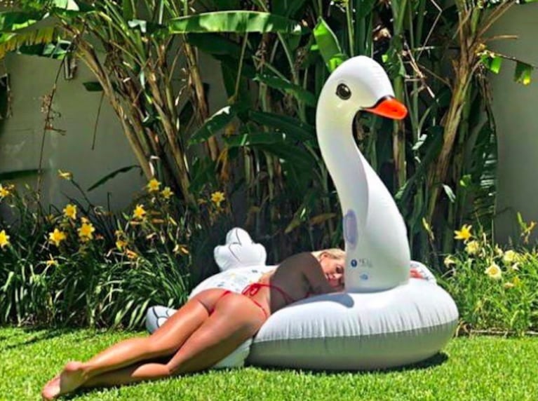 Para lucir su sensual bikini roja, ¡Sol Pérez posó arriba de un gigantesco cisne!