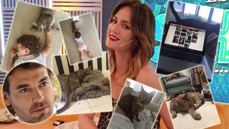 Paula Chaves adoptó una gatita (Foto: Twitter)