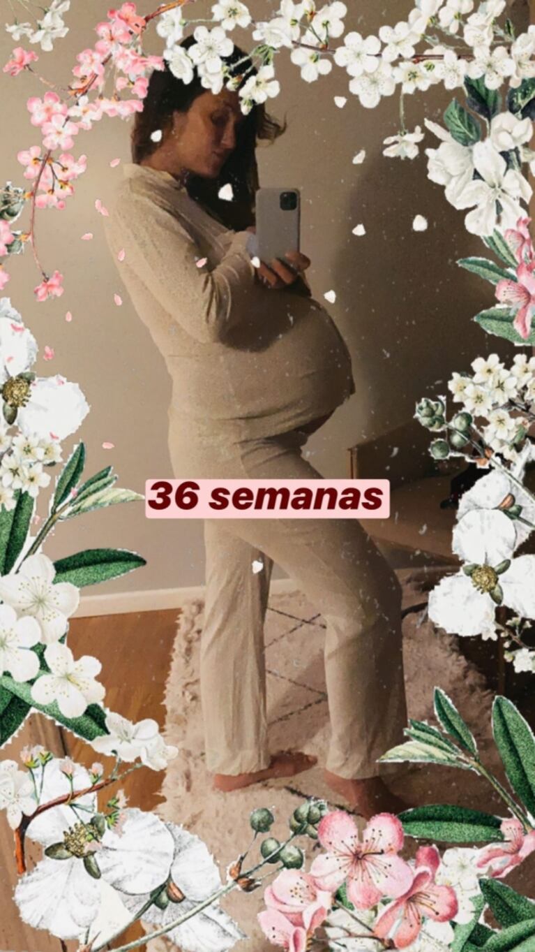 Paula Chaves compartió dulces postales de su pancita desde su casa: "36 semanas"
