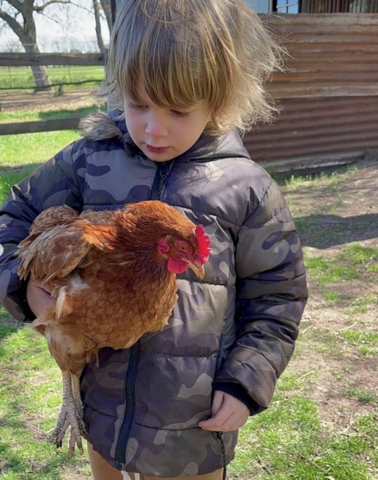 Paula Chaves compartió las postales más dulces de su día de campo en familia: "En mi lugar favorito"