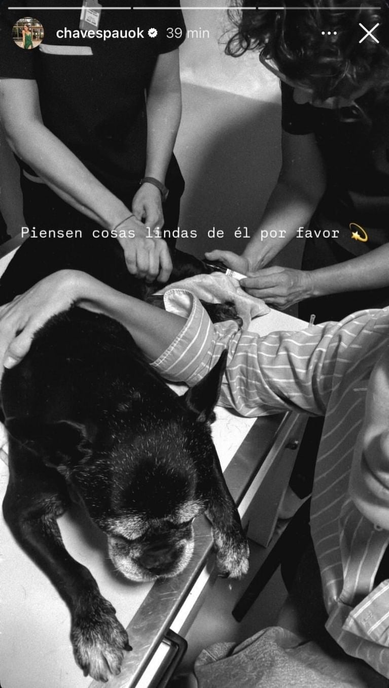 Paula Chaves encendió las alarmas por la salud de Moro y pidió ayuda en redes. Crédito: Instagram