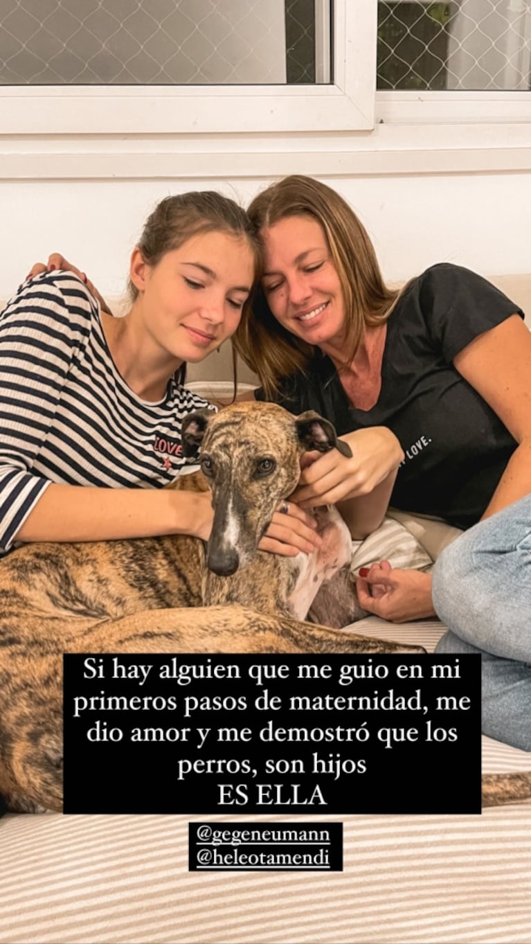 Paula Chaves encontró una mamá famosa para la perrita que adoptó: "Queda en las manos de Gegé Neumann"