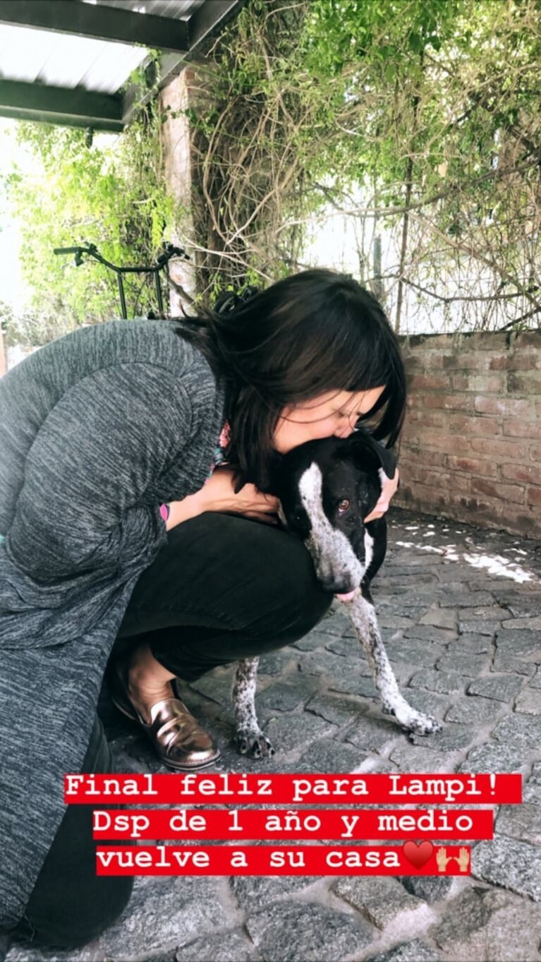 Paula Chaves rescató un perro y logró el reencuentro con su dueña tras un año y medio: "Final feliz para Lampi"