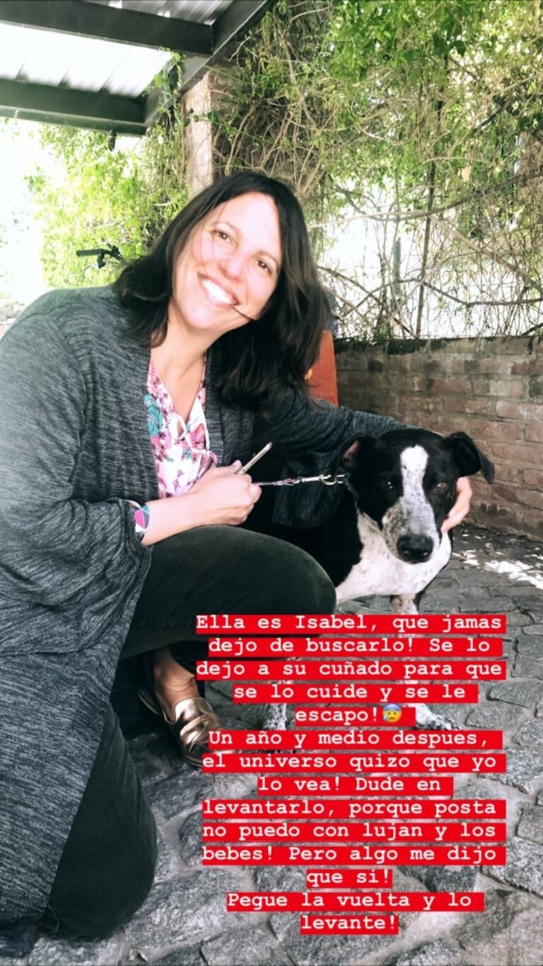 Paula Chaves rescató un perro y logró el reencuentro con su dueña tras un año y medio: "Final feliz para Lampi"