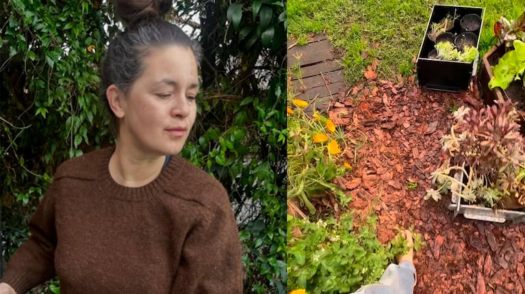 Paula Colombini mostró el insólito hallazgo en su huerta que la emocionó: "Qué sorpresa" (Foto de Instagram @colombinipaula)