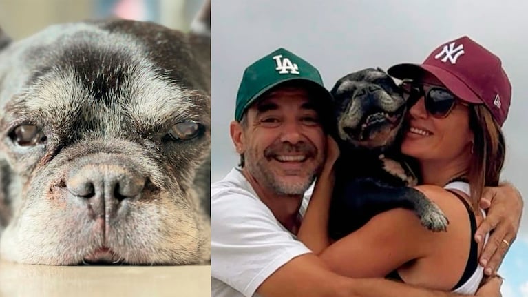 Pedro Alfonso y Paula Chaves con Moro, su perro. (Foto: @pedroalfonsoo)