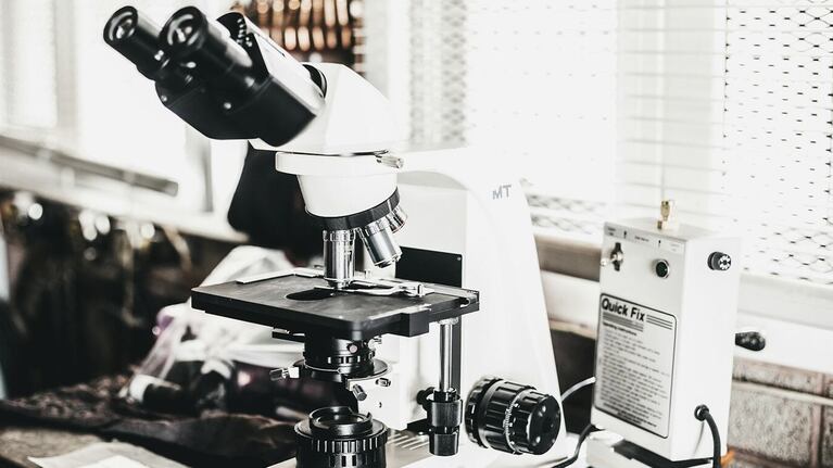 Péptidos cerebrales: Los mensajeros moleculares y su creciente papel en la investigación científica