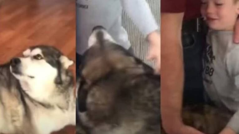 Perrito exige también ser incluido en abrazo familiar y se vuelve viral