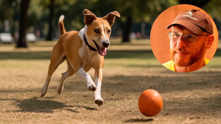Perro corriendo a la pelota, una escena que se repite en las plazas argentinas. Foto: IA (ChatGPT)