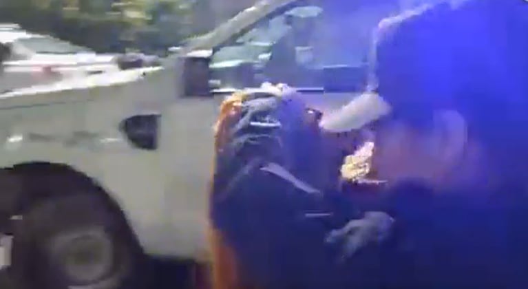 Perro y una chica de 27 años fueron detenidos. Foto: captura X