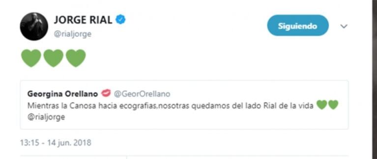 Picante retweet de Jorge Rial sobre Viviana Canosa en medio del debate por la legalización del aborto