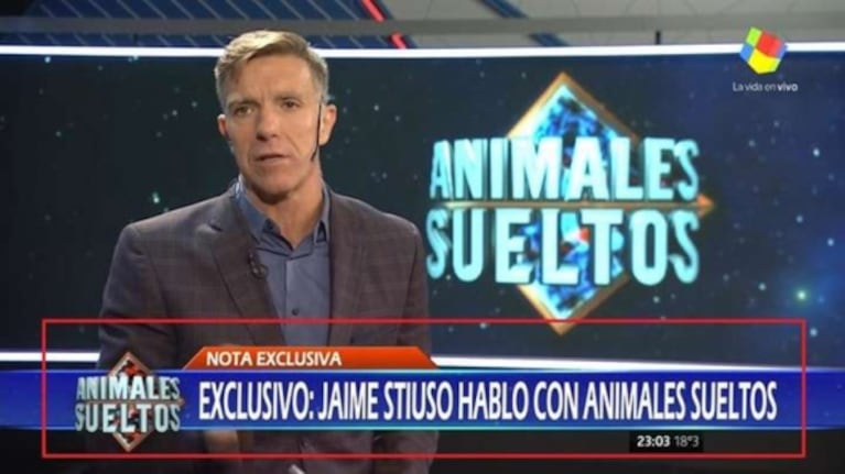 Picante tweet de Rial contra Animales Sueltos... ¡y fuerte respuesta de Fantino!: "Si contesto, se arma la guerra nuclear, y hay que tener cuidado con las armas nucleares"