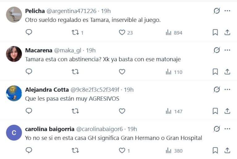 Piden expulsión de Tamara Paganini de Gran Hermano por agresión a Pincoya (Foto: captura de X).