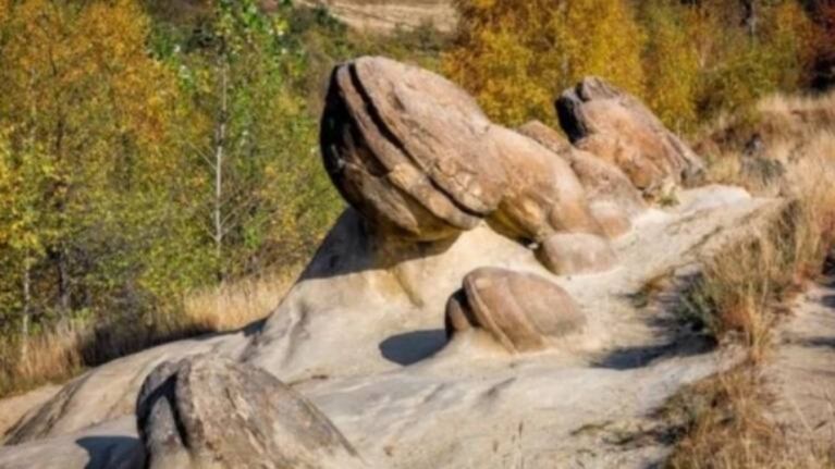 Piedras "vivas" en Rumania: crecen, se reproducen y respiran