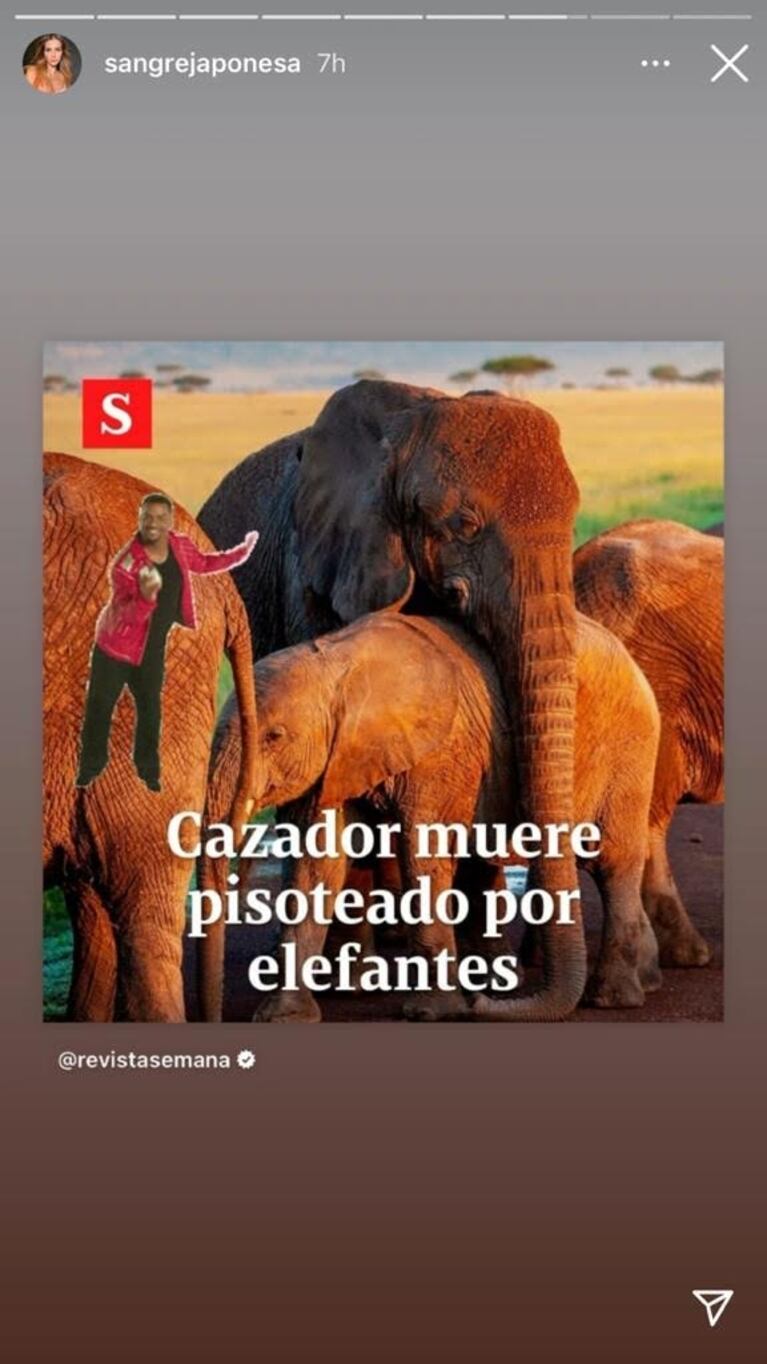 Polémico posteo de China Suárez celebrando la muerte de un cazador: "Muere pisoteado por elefantes"