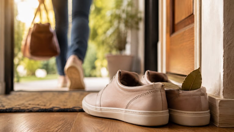 Poner una hoja de laurel en el zapato: para qué sirve y por qué lo recomiendan.