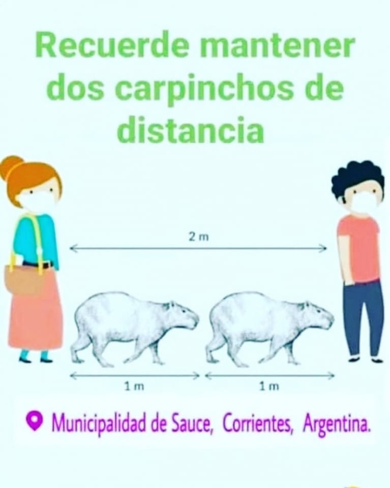 ¿Por qué los carpinchos son furor en las redes sociales?