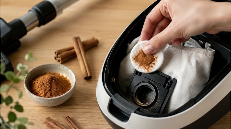 Por qué los expertos en limpieza recomiendan poner canela dentro de la bolsa de la aspiradora. Foto: IA