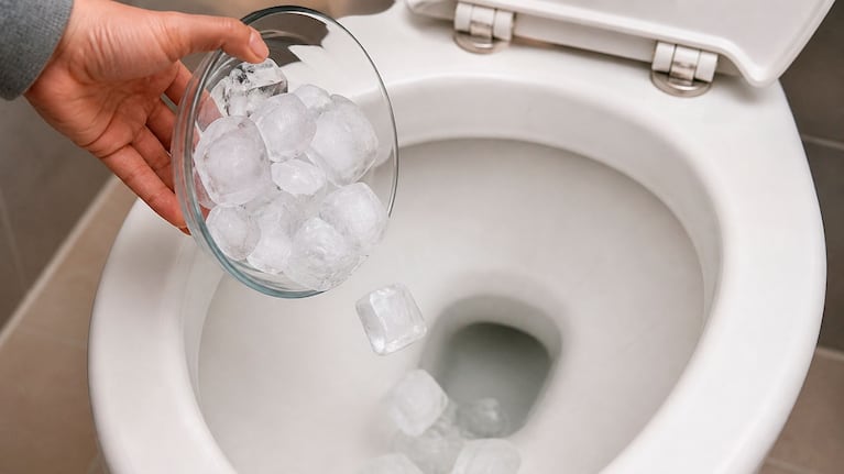 Por qué recomiendan tirar hielo en el inodoro una vez por semana (foto creada con IA)
