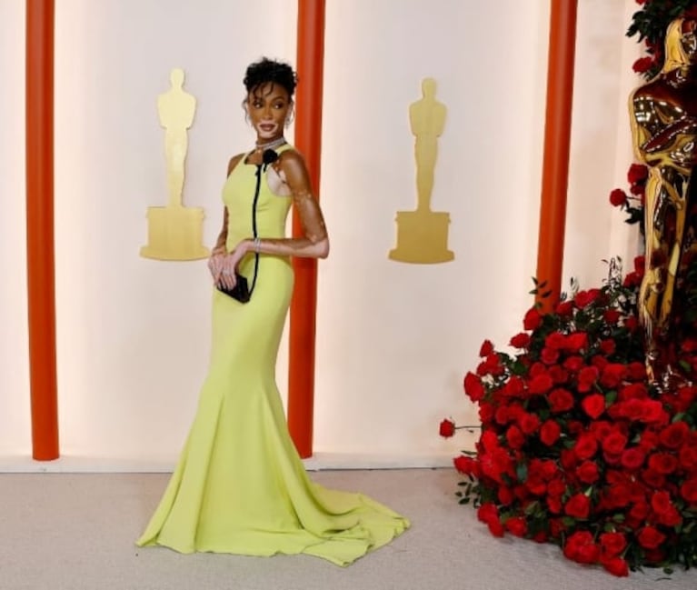 Premios Oscar 2023: los looks de la red carpet más famosa del mundo, a puro glamour