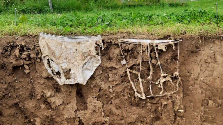 Qué buscó probar la ciencia al haber enterrado 2.000 calzoncillos en jardines. Foto: Agroscope