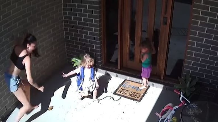 ¡Qué miedo! En la puerta de su casa apareció una serpiente venenosa.