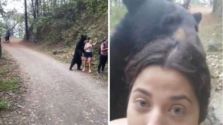  ¡Qué miedo! se le acercó un oso y quiso “abrazarla”