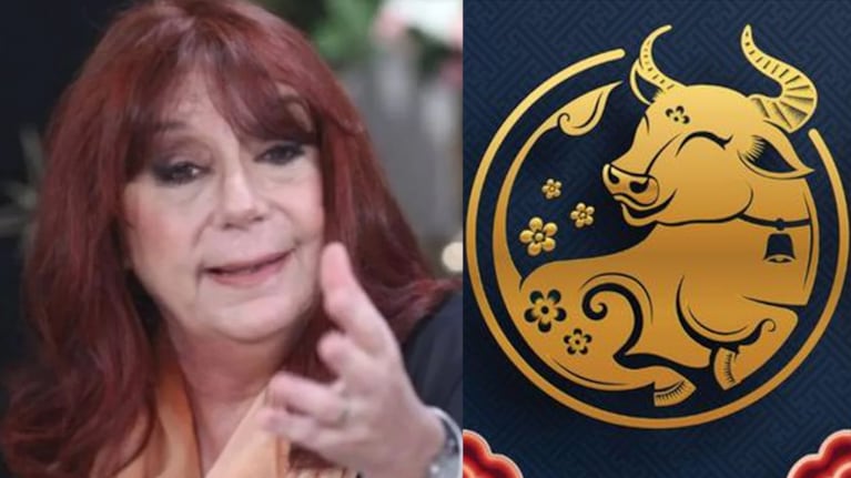 ¿Qué nos deparará el 2021 según el horóscopo chino?