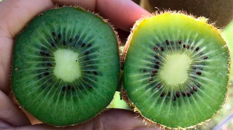 Qué pasa si comés kiwi con cáscara (foto web)