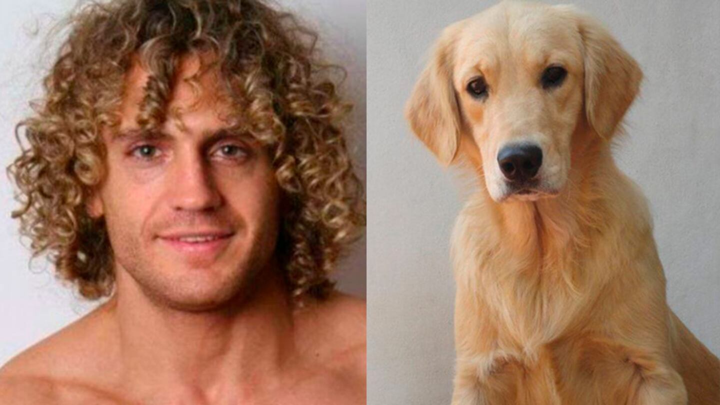 Qué pasó con Kimba, la perra de Gran Hermano 2011 que fue adoptada por uno de los participantes