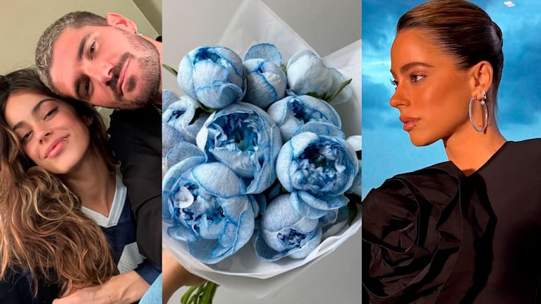 Qué significa la peonía azul, la flor de la tarjeta de boda de Tini Stoessel y Rodrigo de Paul (fotos web e Instagram)