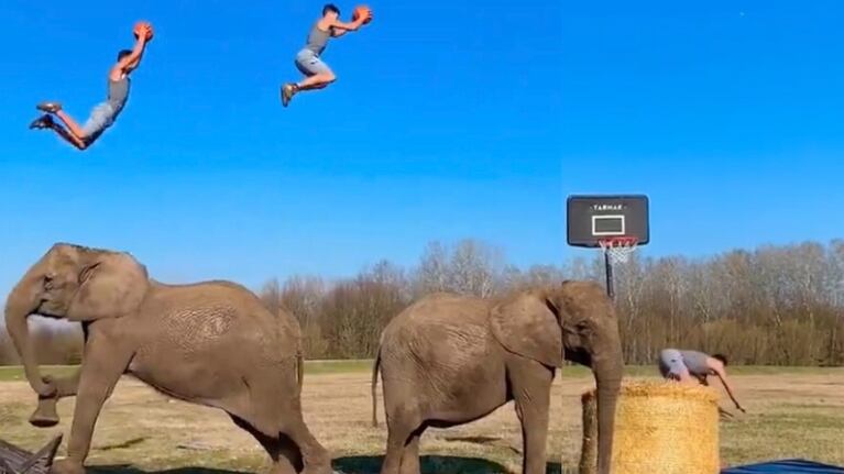 Rene Kaselowsky, el hombre que juega al básquet con elefantes.