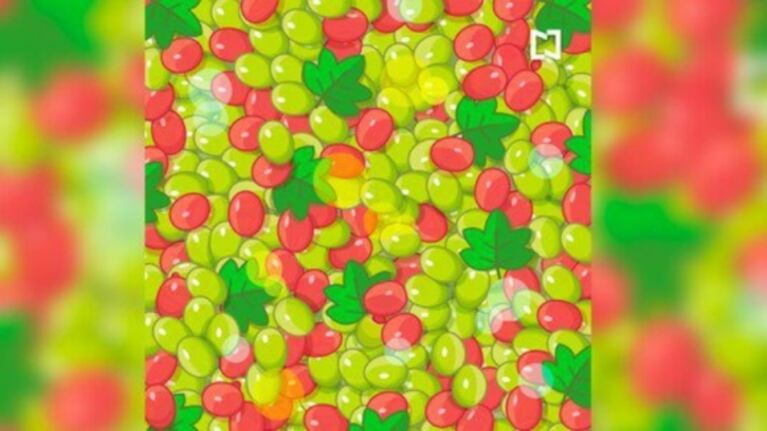 Reto visual: descubrí las aceitunas entre las uvas