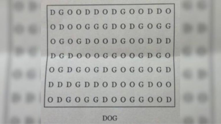 Reto visual: encontrar la palabra “Dog”